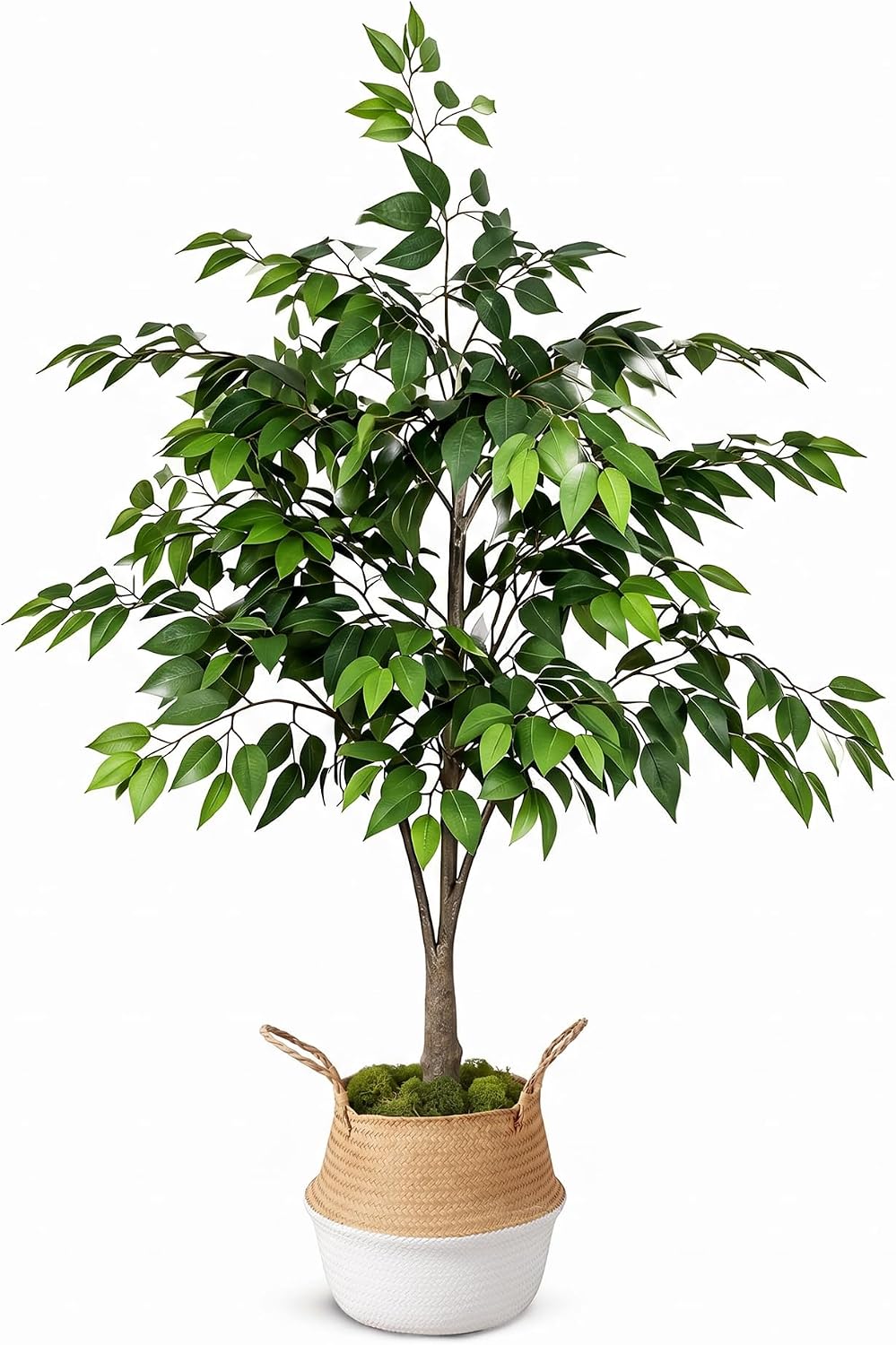 VECELO 5FT Artificial Ficus Tree